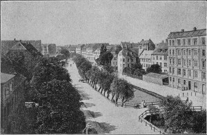 Ladegaardsaaen_topview                            