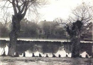 bred_1880_sporvogn    